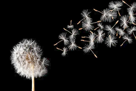 روشنایی زیاد