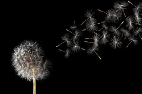 شارپنس کم در تلویزیون های OLED و LED