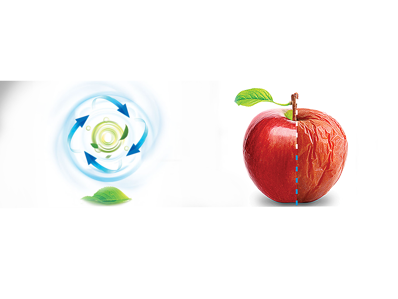 حفظ تازگی در یخچال فریزر پرادا