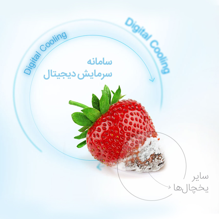 سامانه سرمایش الکترونیک یخچال فریزر پارامو Counter Depth