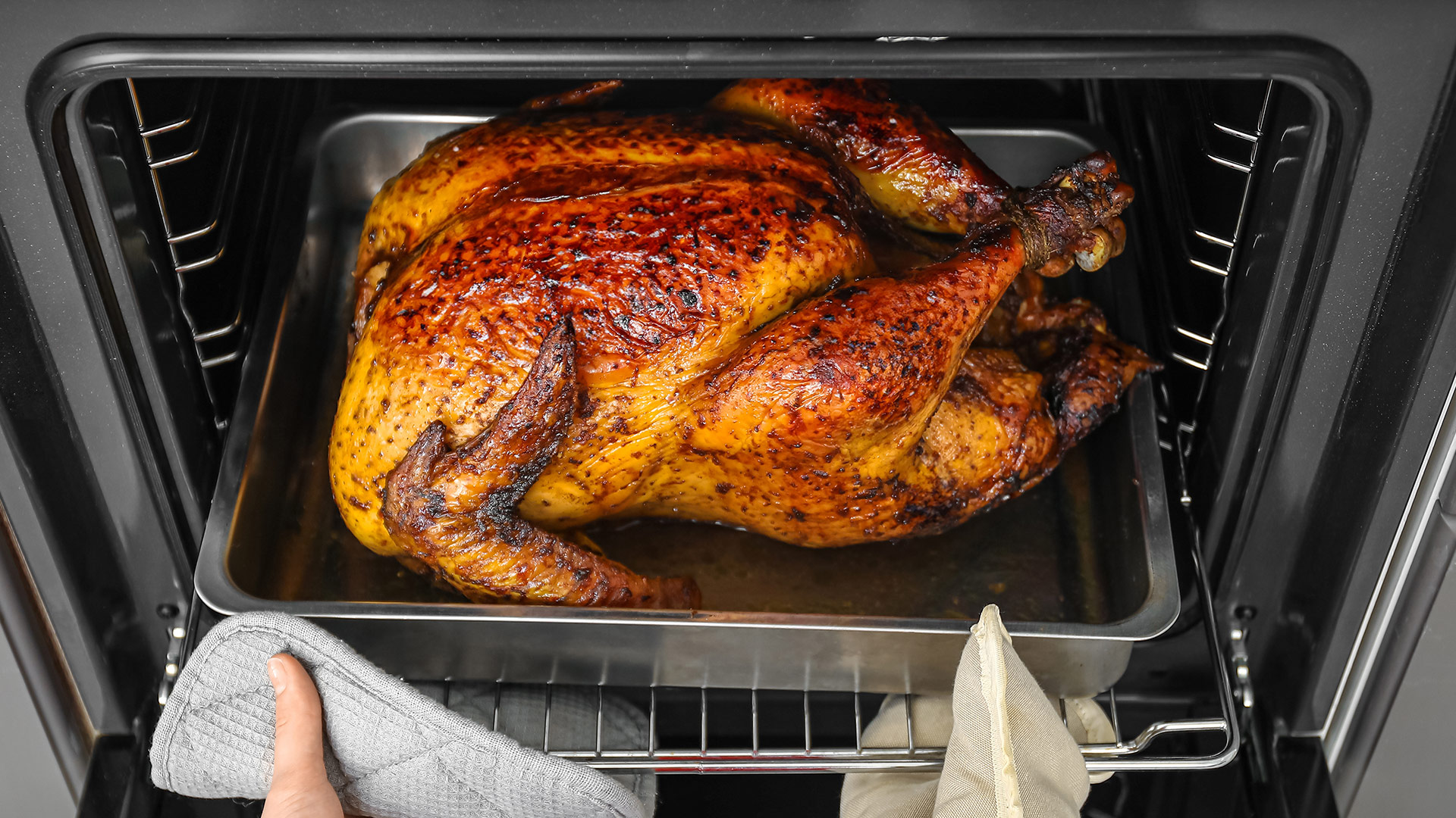 طرز تهیه بوقلمون خوشمزه